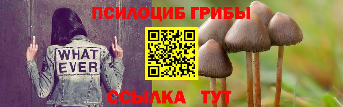 Топки  Галлюциногенные грибы GOLDEN TEACHER  Вход с VPN  Псилоцибиновые грибы Psilocybine cubensis 